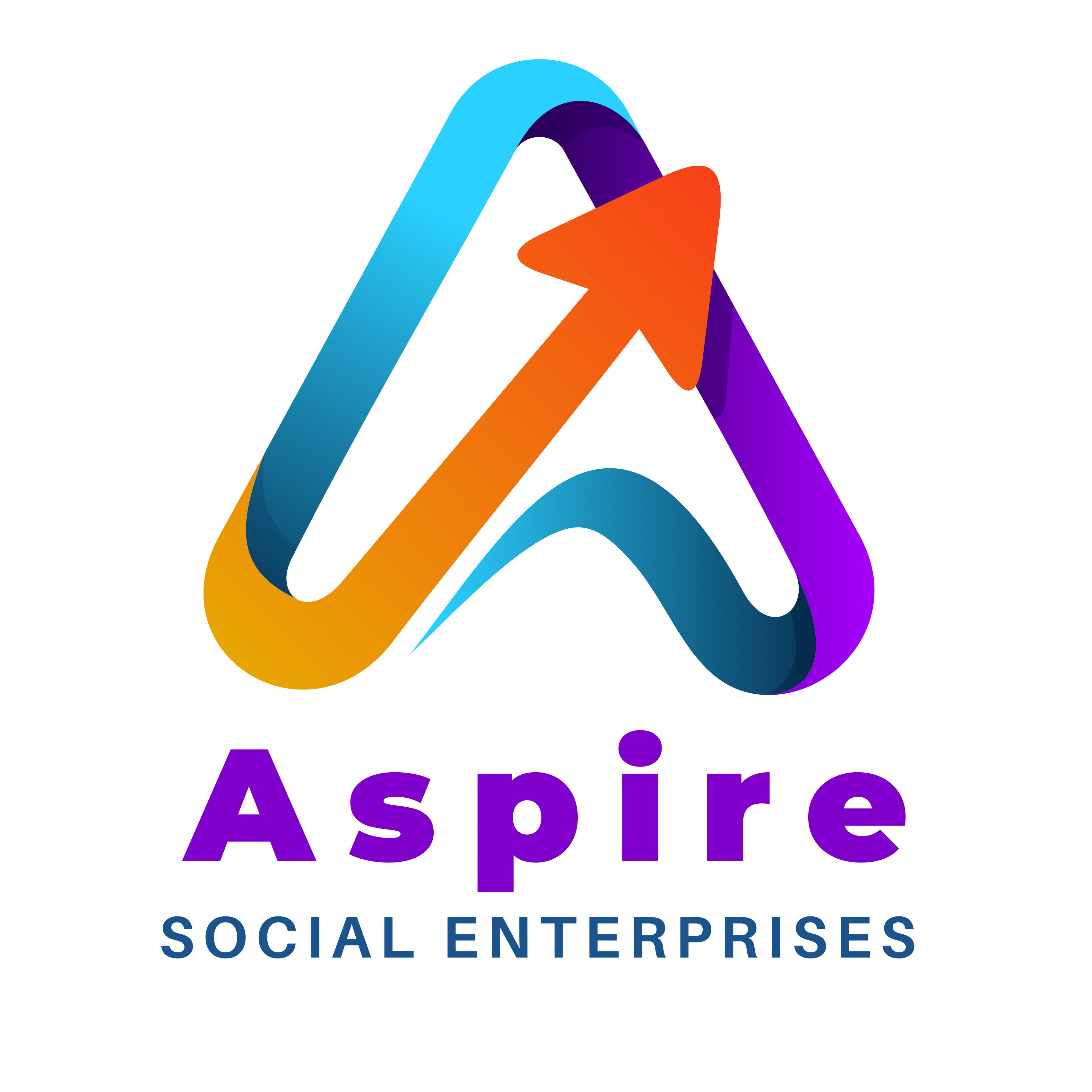 Aspire Social Enterprises